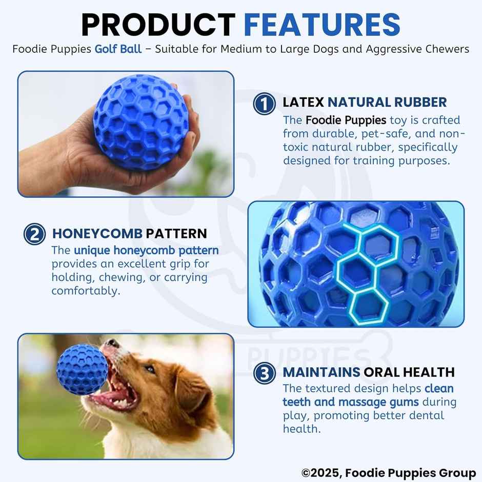 Foodie Puppies Tough Rubber Squeaky Dog Chew Golf Ball