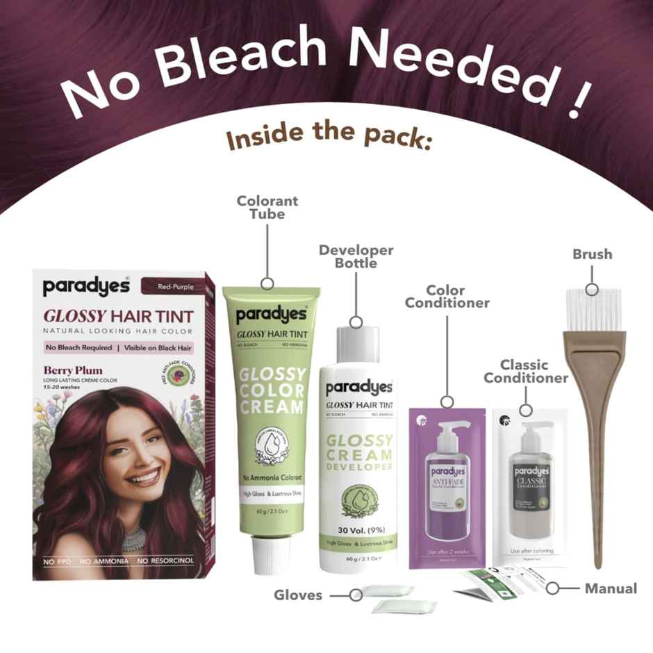 Paradyes No Bleach Berry Plum Glossy Hair Tint