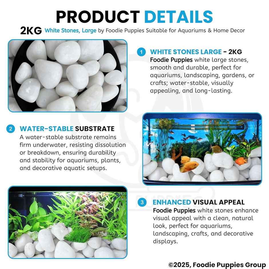 Foodie Puppies White Polished Pebbles Glossy Stones for Aquarium and Fish Tank 2Kg