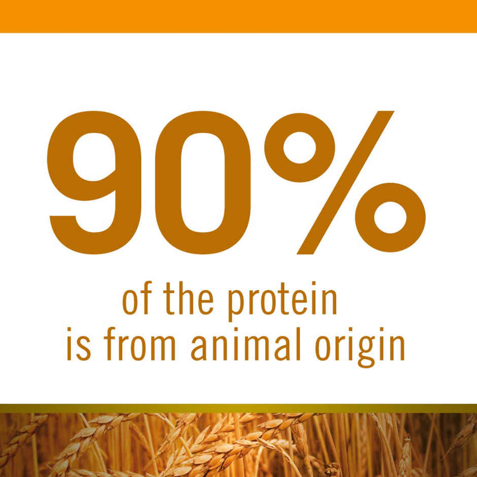 N & D Dog Ancestral Grain Chicken And Pomegranate Adult Medium - Maxi Selection