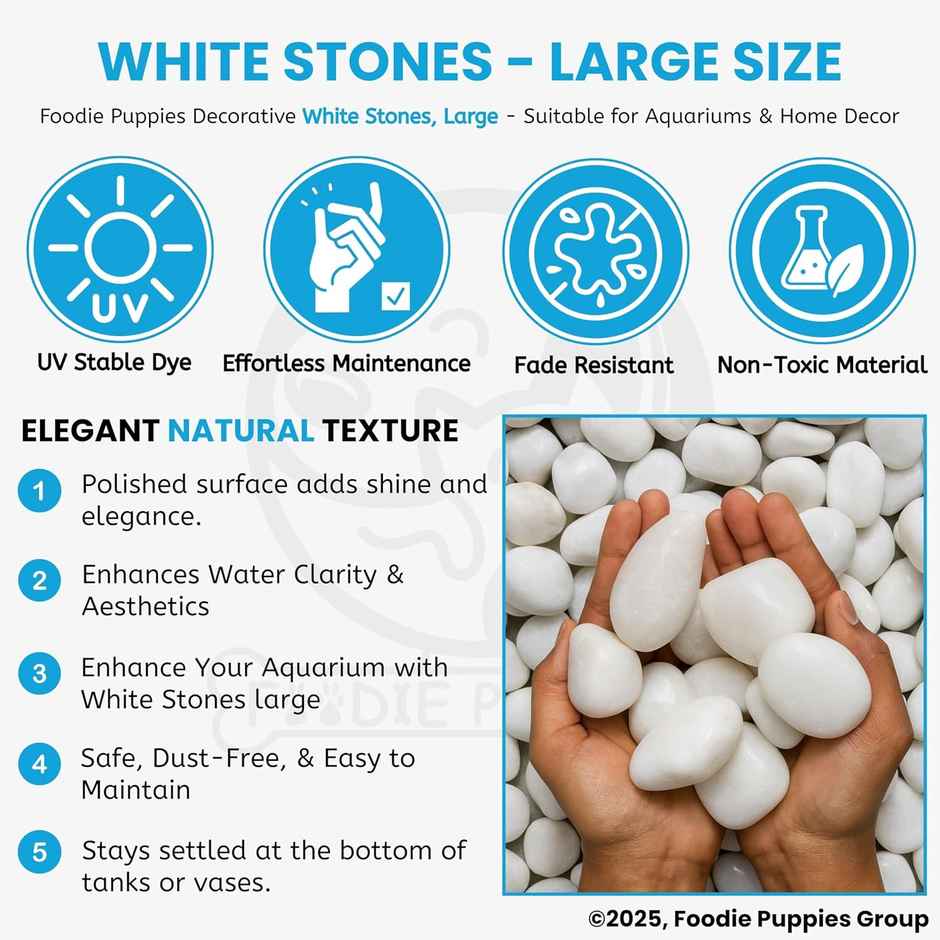 Foodie Puppies White Polished Pebbles Glossy Stones for Aquarium and Fish Tank 2Kg