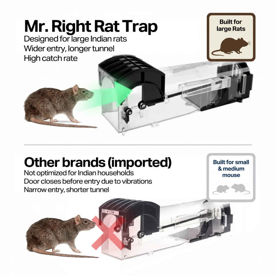 Mr. Right Rat Trap