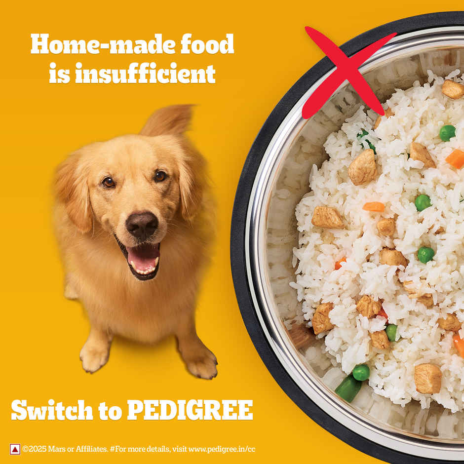 Pedigree Adult Chicken & Vegetables Dry Dog Food