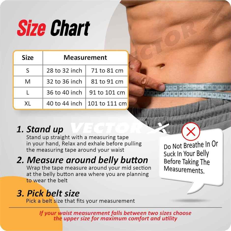 Vector X Go Fit Gym Belt | Large | Quick Locking Weight Lifting Belt 6 Inch | 36 - 40 inch | Assorted