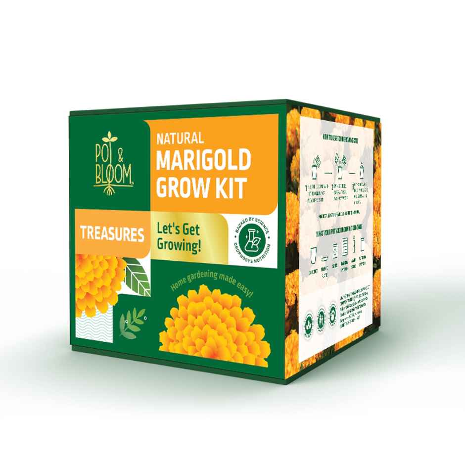 Pot And Bloom Treasures Marigold Grow Kit