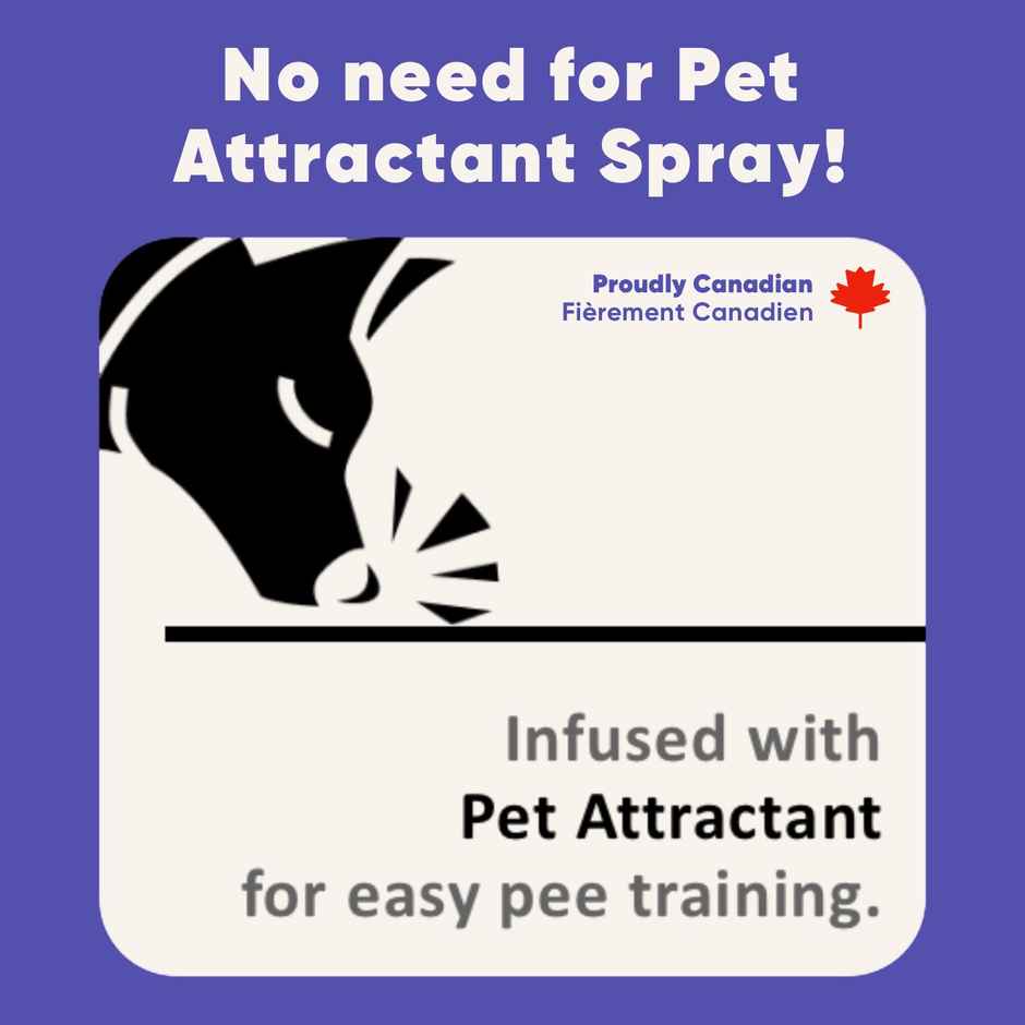 Purple Tails Medium Pet Training Pads