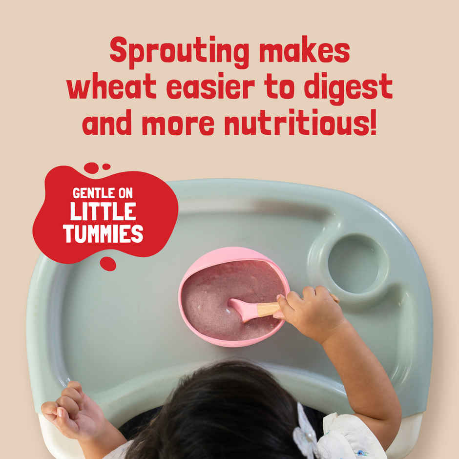 Slurrp Farm First Bites Sprouted Wheat, Apple and Date Cereal with Milk for Little Ones