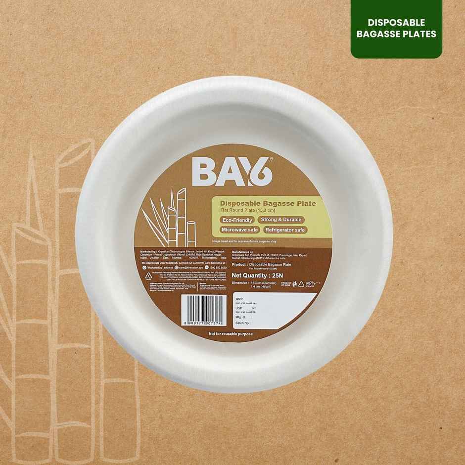 Round Disposable Flat Plate | 15 cm | BAY6