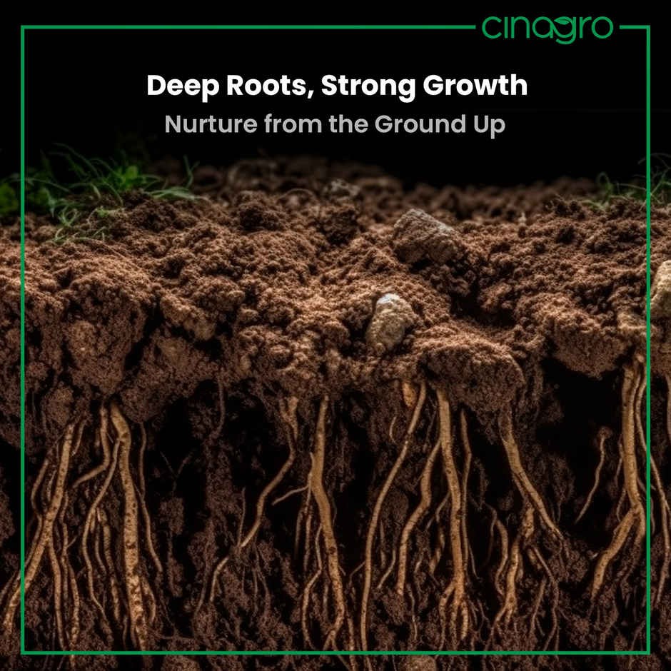 Cinagro Vermicompost Plant Fertilizer, Improves Plant Health, Water Retention & Soil Quality