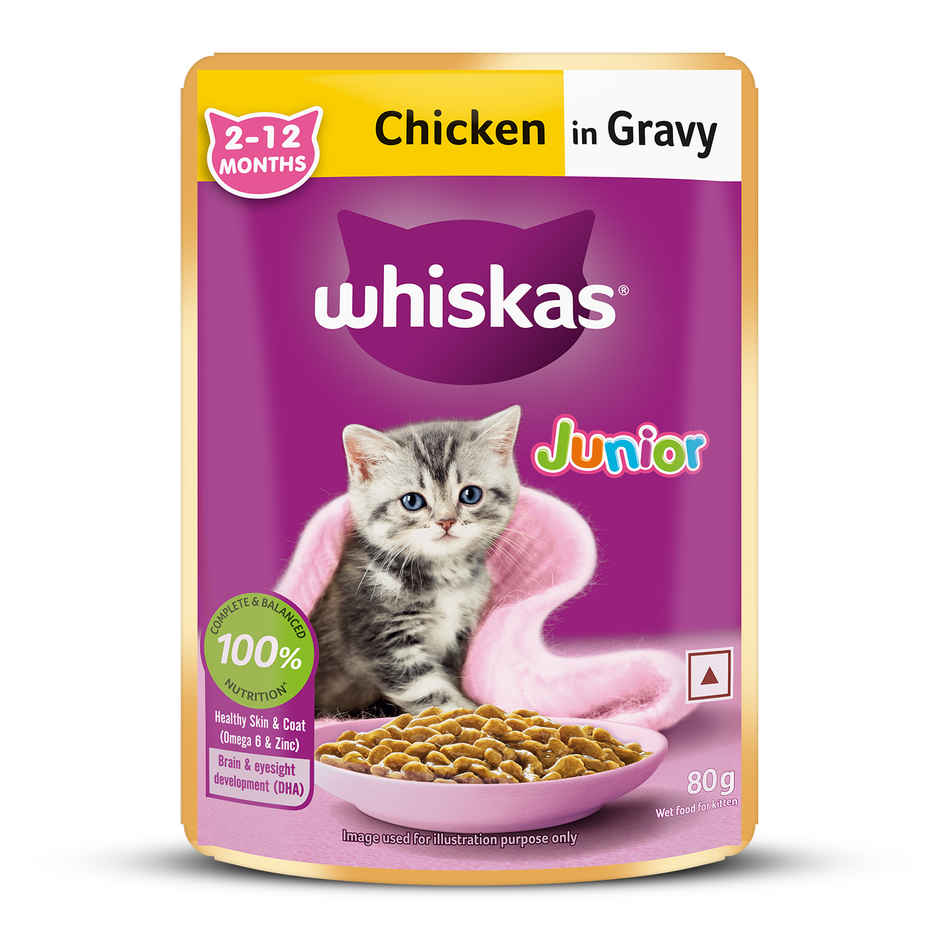 Whiskas Junior Chicken in Gravy Wet Cat Food Combo
