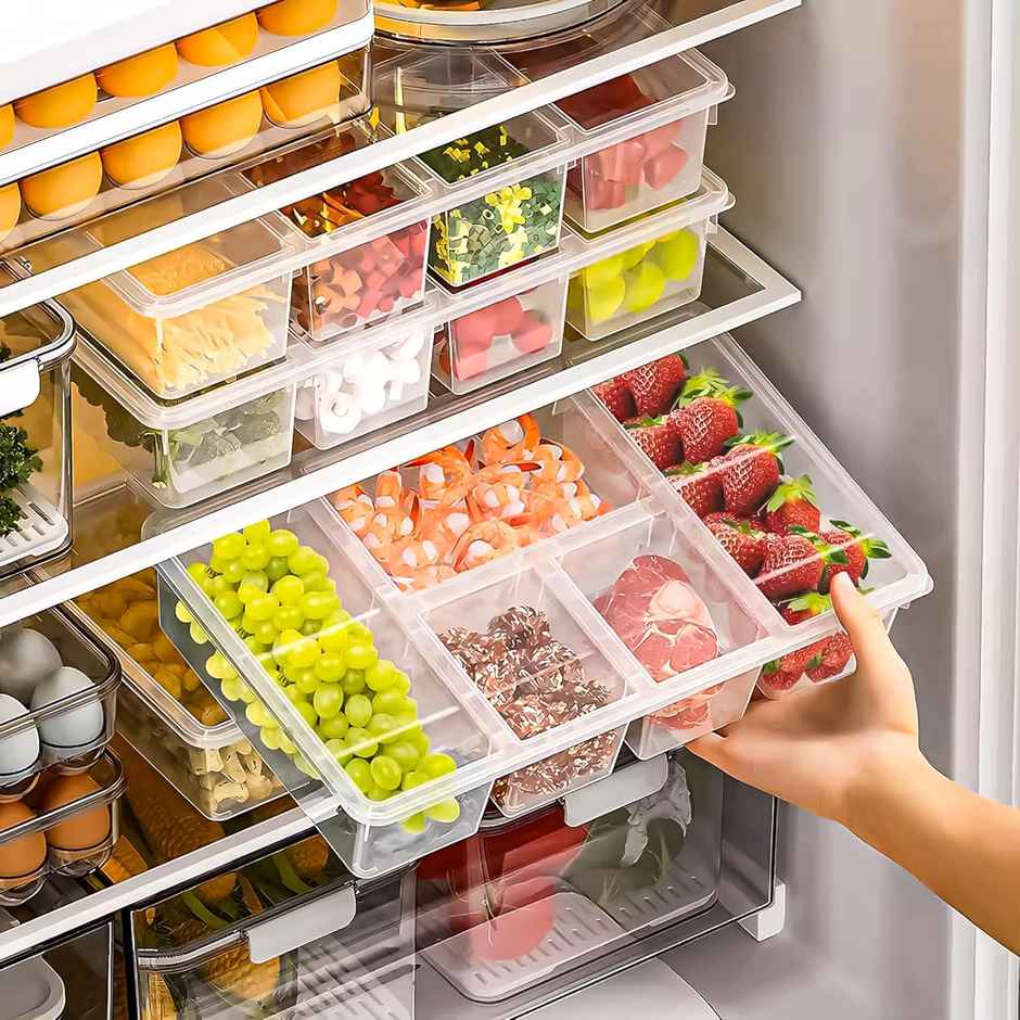 Tex-Ro 5 Compartment Plastic Leakproof Fridge Organizer & Freezer Storage | 2500 ml