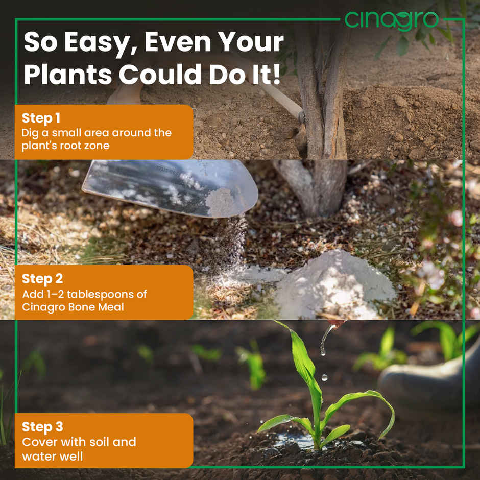 Cinagro Organic Bone Meal Plant Fertilizer - Nutrient-Rich Plant Manure