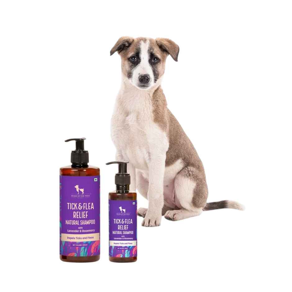 HUFT Tick And Flea Dog Shampoo