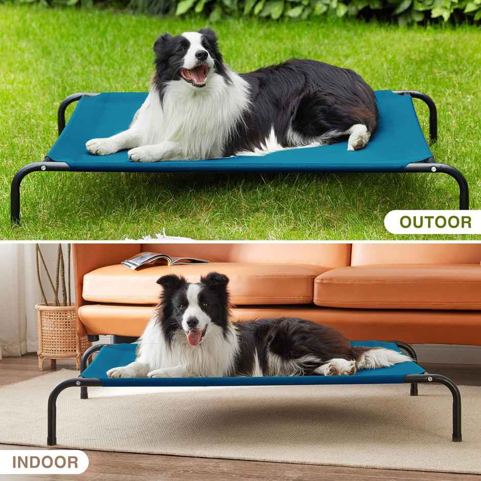 Nootie Elevated Bed For Dogs and Cats