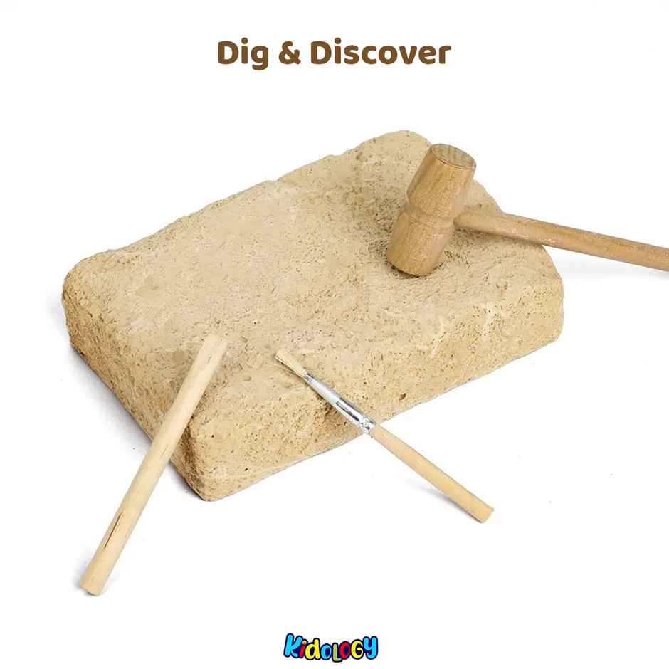 Kidology Dinosaur Fossil Digging Kit for Kids | Dino Fossil Dig Kit Model Toys | Dinosaurs Skeleton
