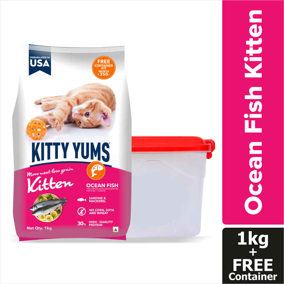 Kitty Yums Kitten Dry Cat Food Ocean Fish with Free Container