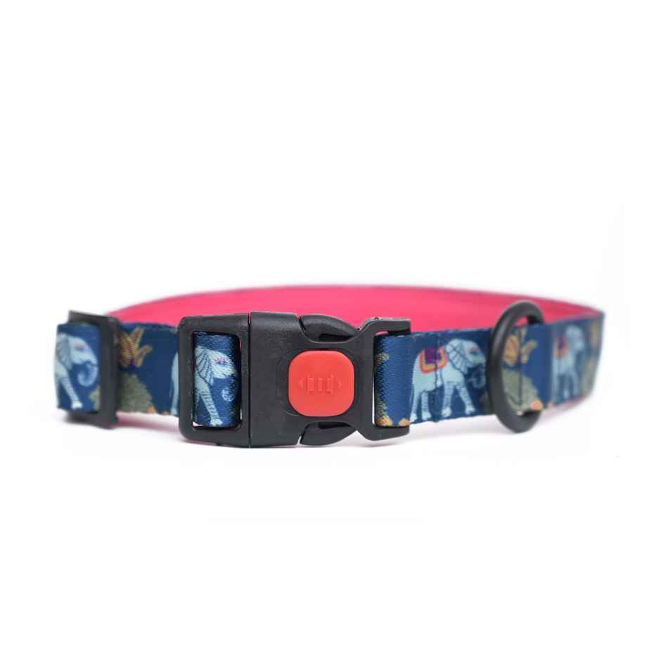 Mutt Of Course Royal Elephant Theme - Cat Collar 2Xs