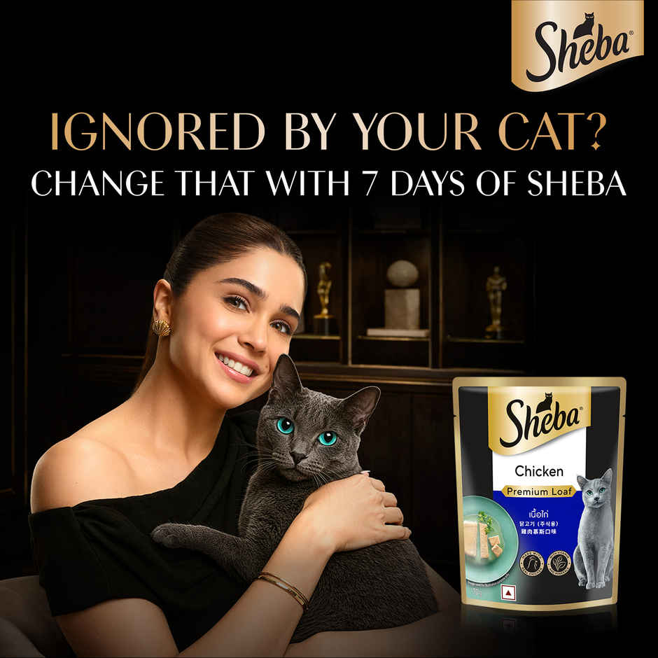 Sheba Fine Adult Chicken Premium Loaf Wet Cat Food