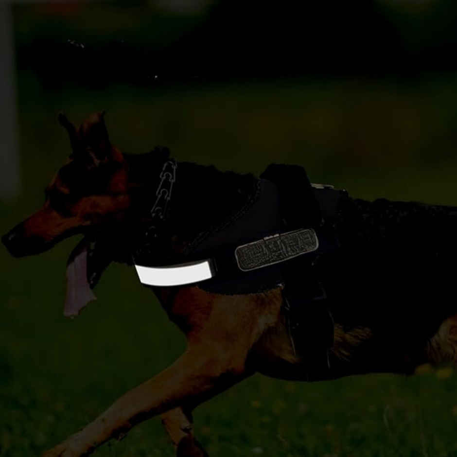 Payton Perry Dog Vest Harness | Choke-Free | Adjustable Neck & Chest | M | Black | For 14-23 kg Pet