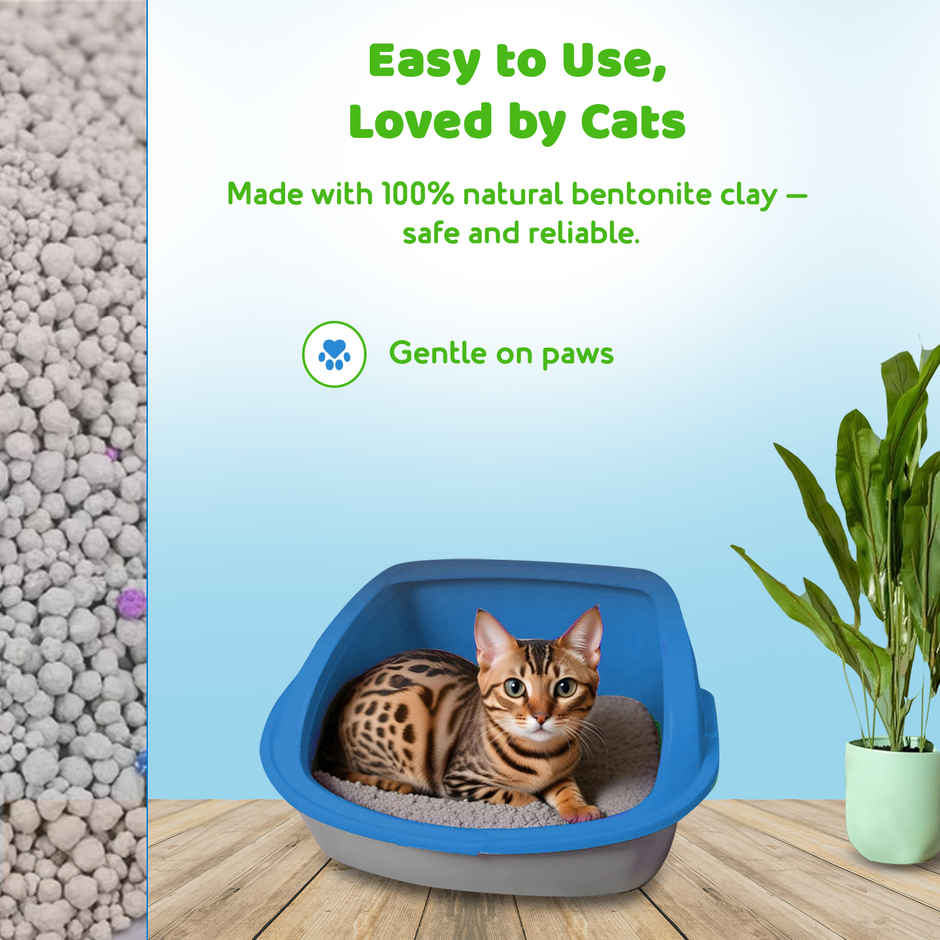 Petoska Bentonite Cat Litter | Green Apple Fragrance Combo