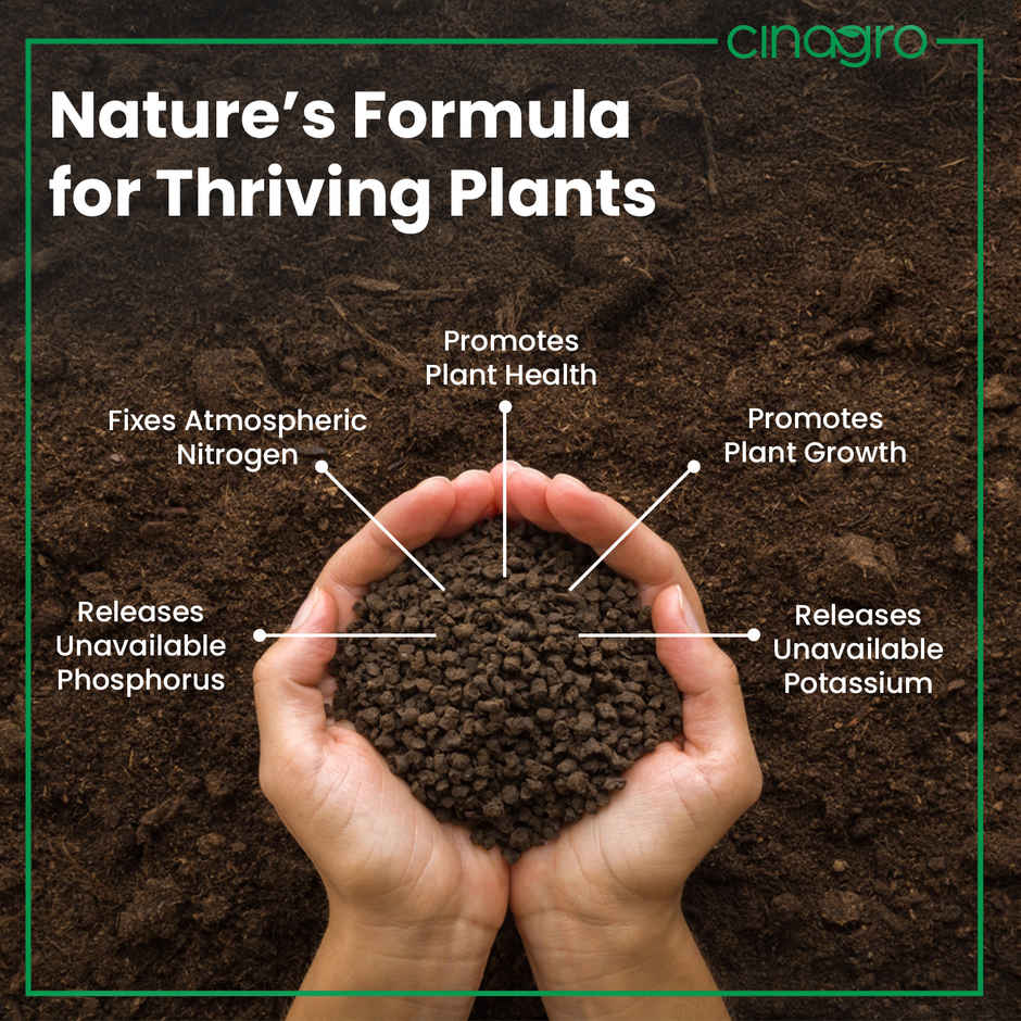 Cinagro Organic Manure Plant Fertilizer, Cow Dung Compost, Releases Phosphorus & Potassium