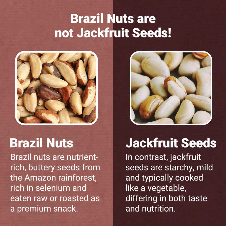 Nutraj Bactopure Brazil Nuts | Monocarton