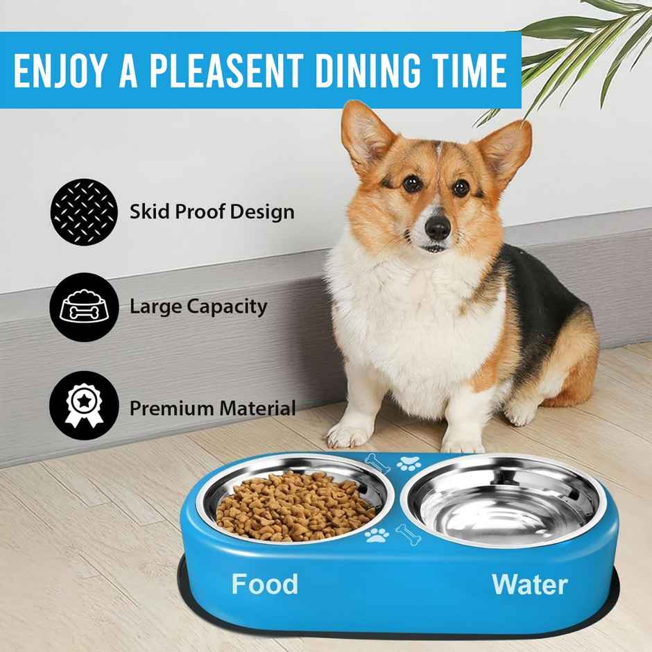 Urbanfix Colour Pet Bowl Set (L) | Vibrant Non-Slip Feeding Bowl Set for Dogs & Cats, Easy to Clean