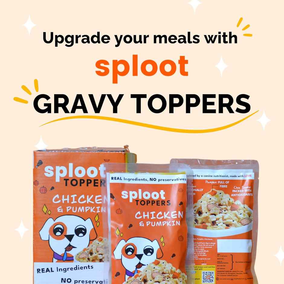 Sploot Toppers For Dogs Pack of 12