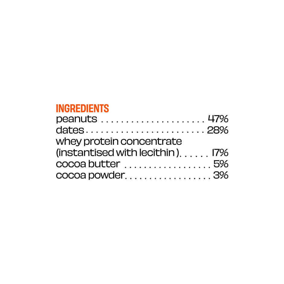 The Whole Truth Peanut Cocoa Mini Protein Bar