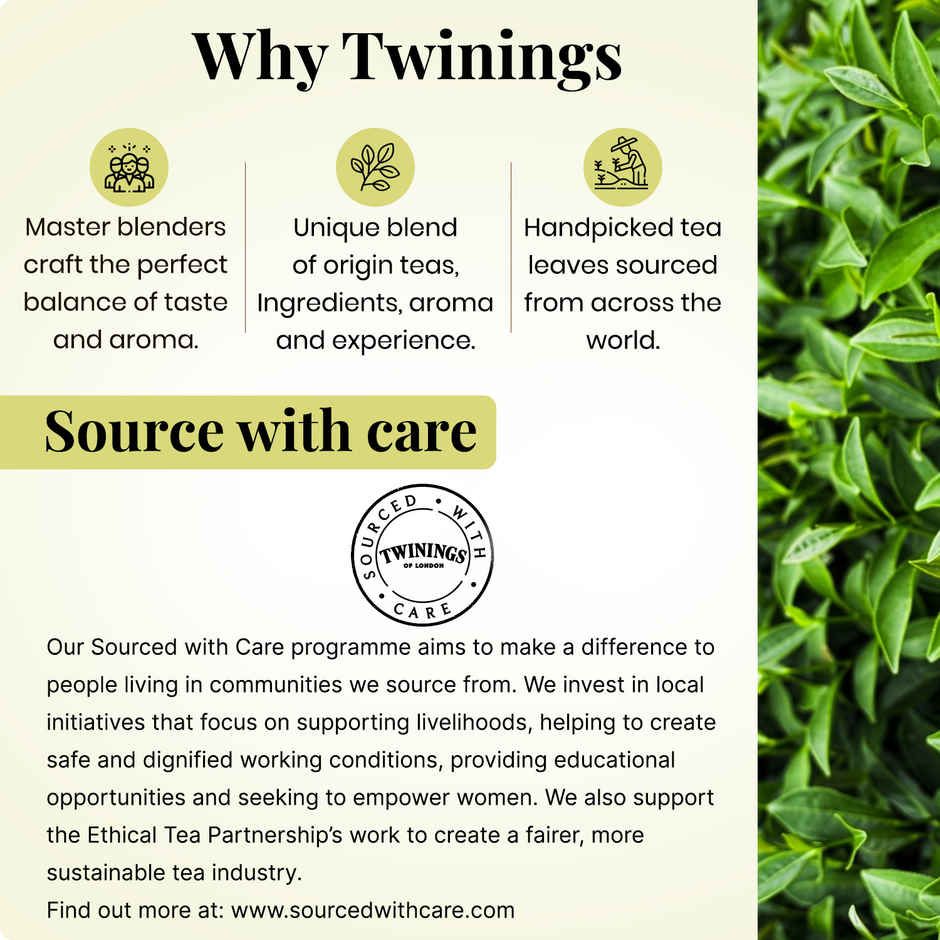 Twinings Pure Peppermint Tea Bag