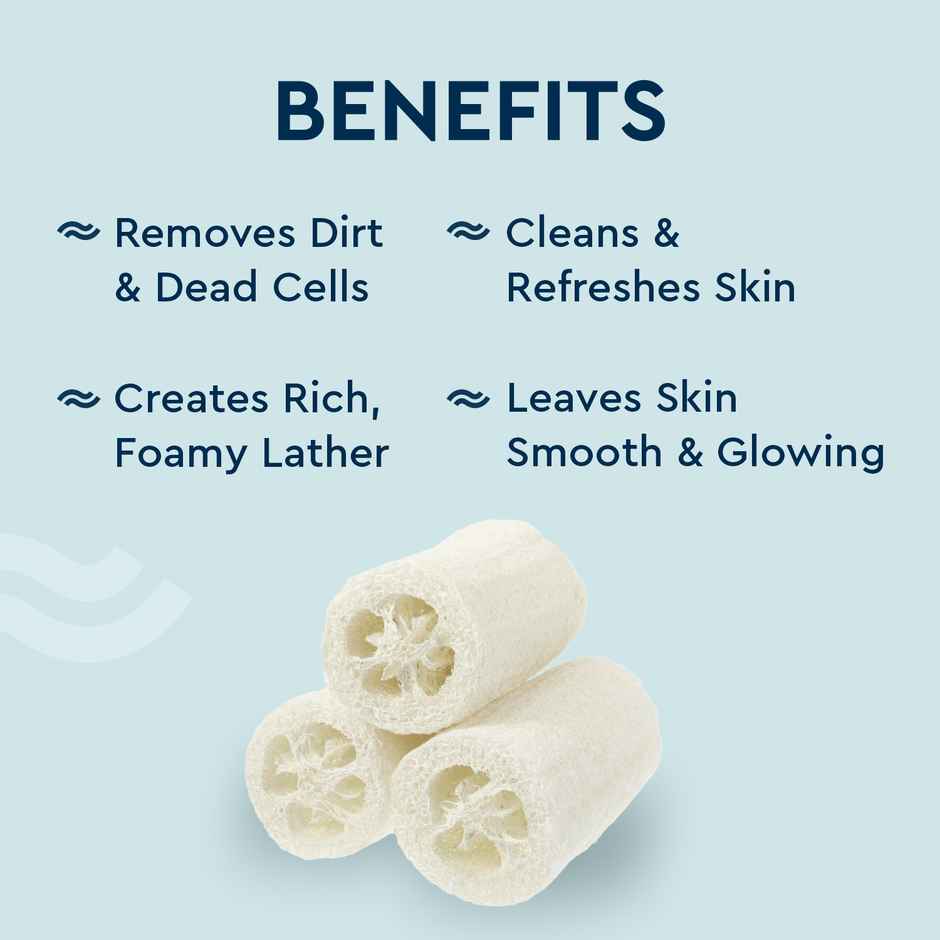 GUBB Natural Loofa