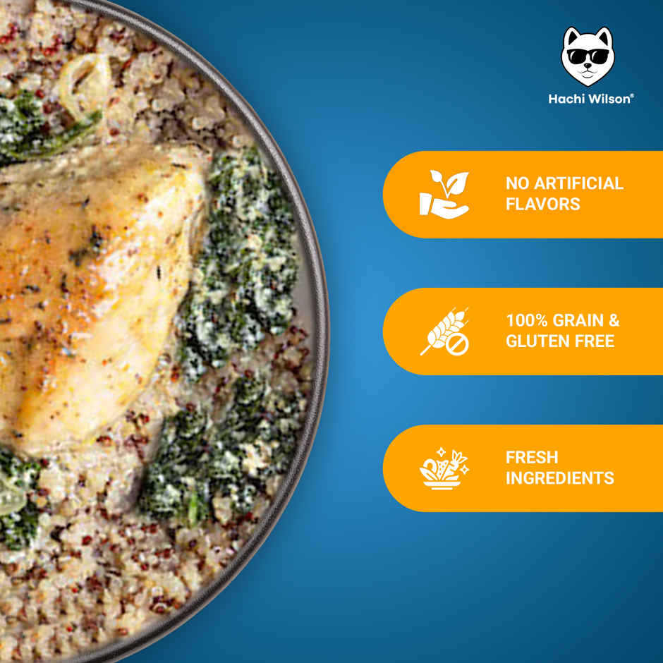 Hachi Wilson Fresh Wholesome Dog Food | Super Healthy food with Chicken and Quinoa Flavour