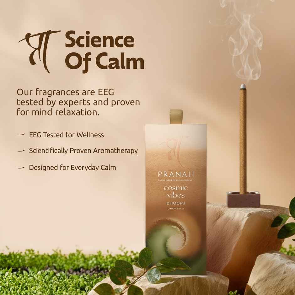 Pranah Cosmic Vibes | Bhoomi | Dhoop Sticks | 25 Sticks