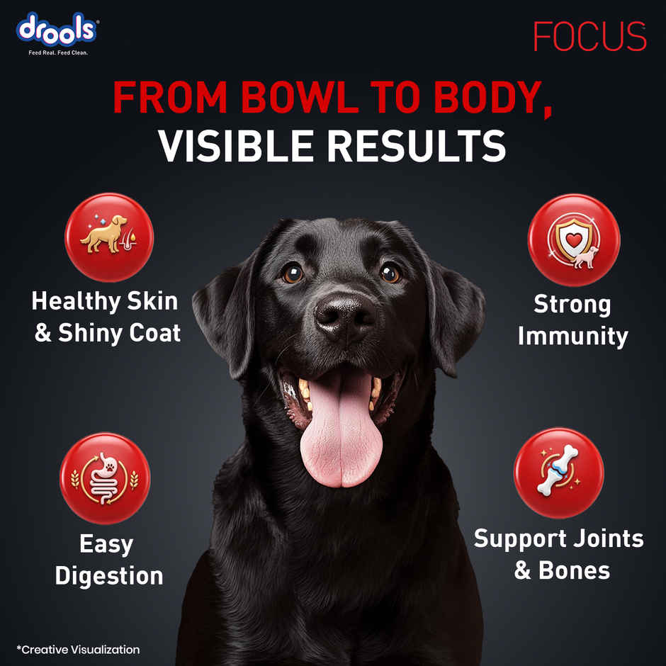 Drools Focus Adult Super Premium Dog Food