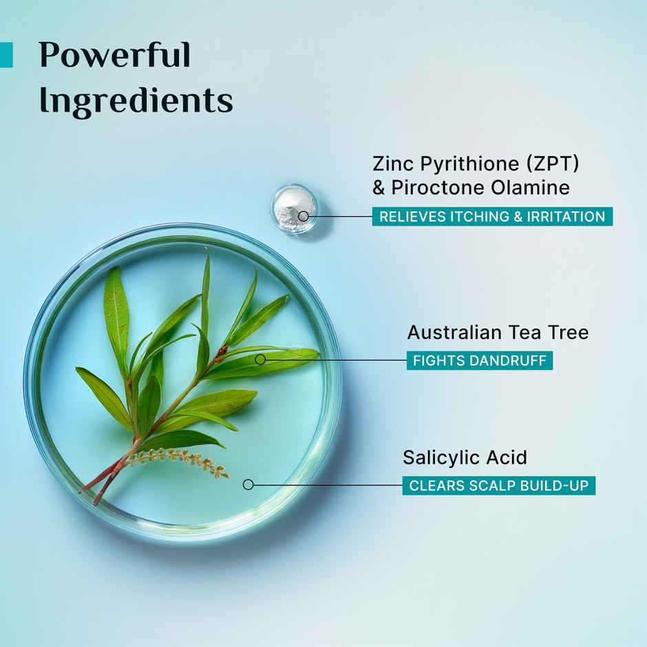 Pilgrim Australian Tea Tree & Salicylic Acid Anti-Dandruff Shampoo for Itchy Scalp