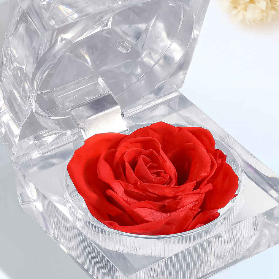 Artificial Red Preserved Rose in Crystal Box | Romantic Gift | FNP