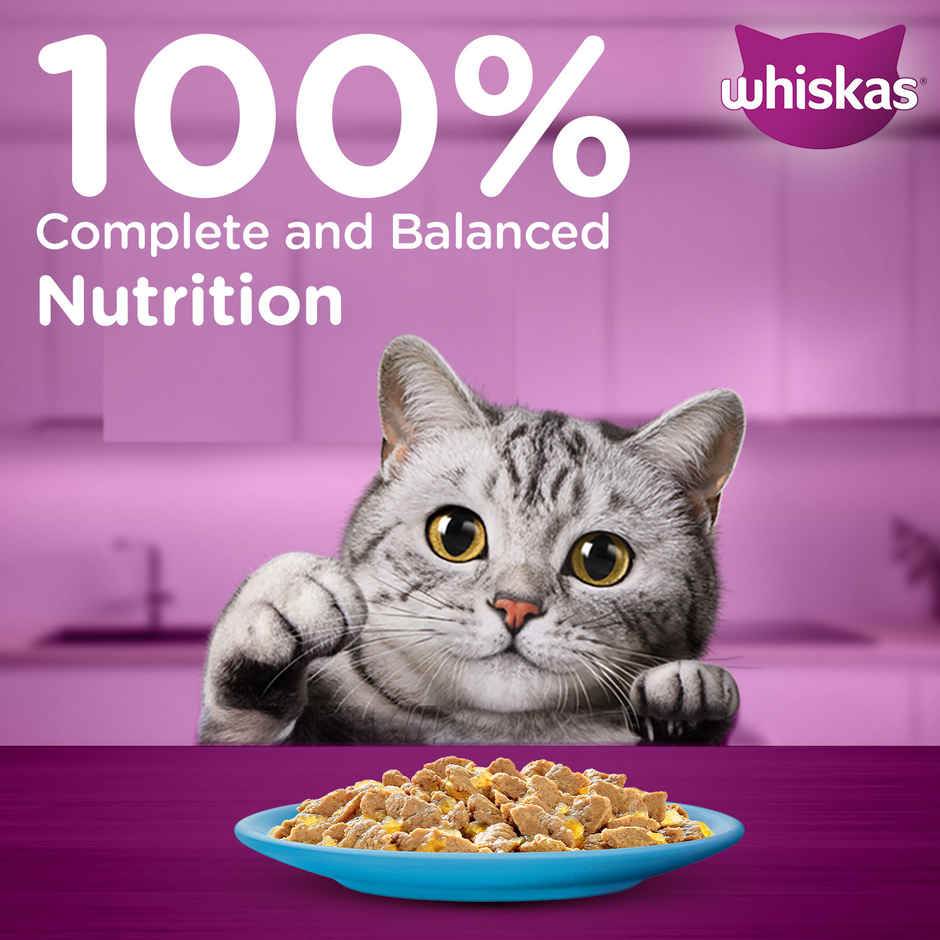 Whiskas Adult Tuna in Jelly Wet Cat Food Combo