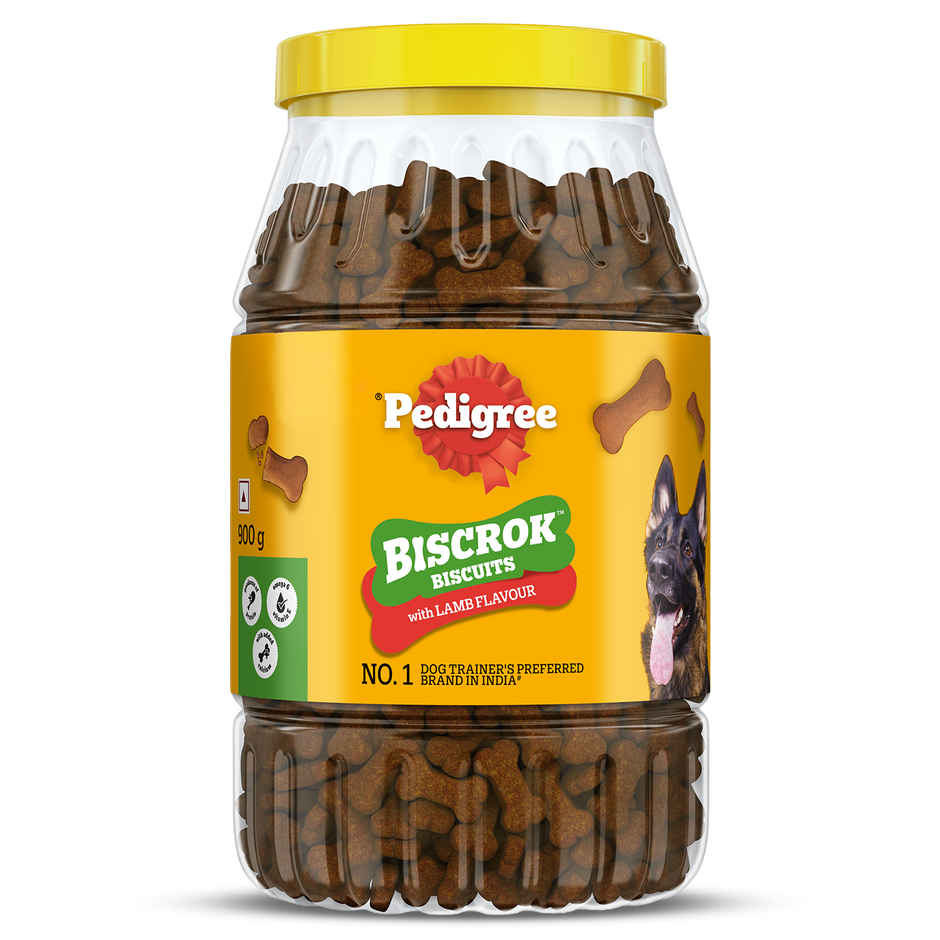 Pedigree Biscrok Dog Biscuits | Above 4 Months | Lamb Flavour | Jar