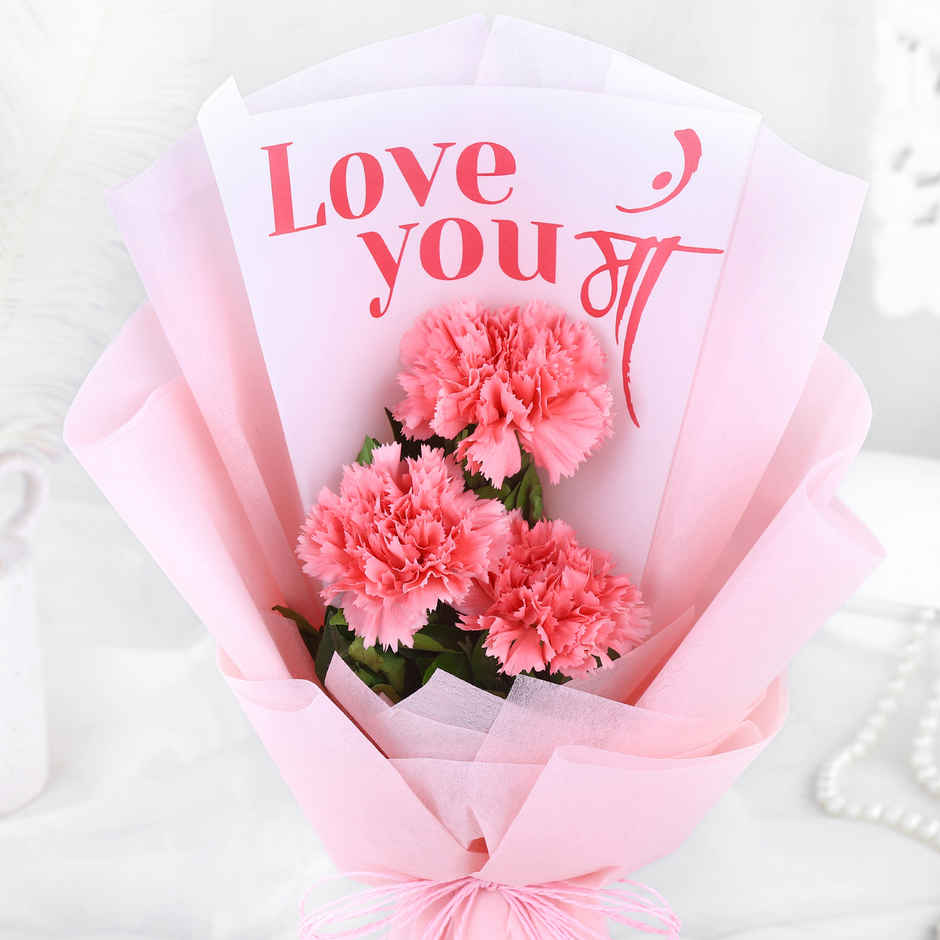 Fnp Mother's Day Love You Maa Carnations