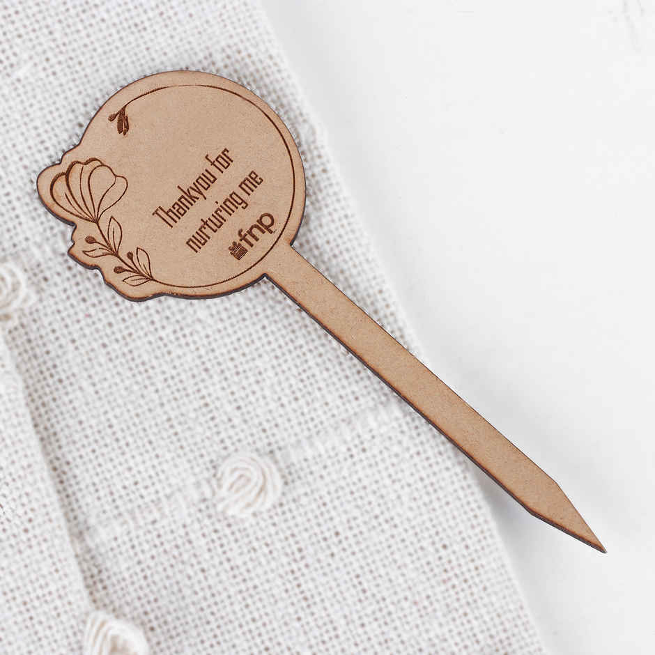 Zen Mini Garden Gift Box | FNP