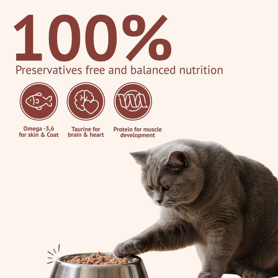 Goofy Tails Himalayan Trout and Anchovies Preservative Free Fresh Wet Cat Food