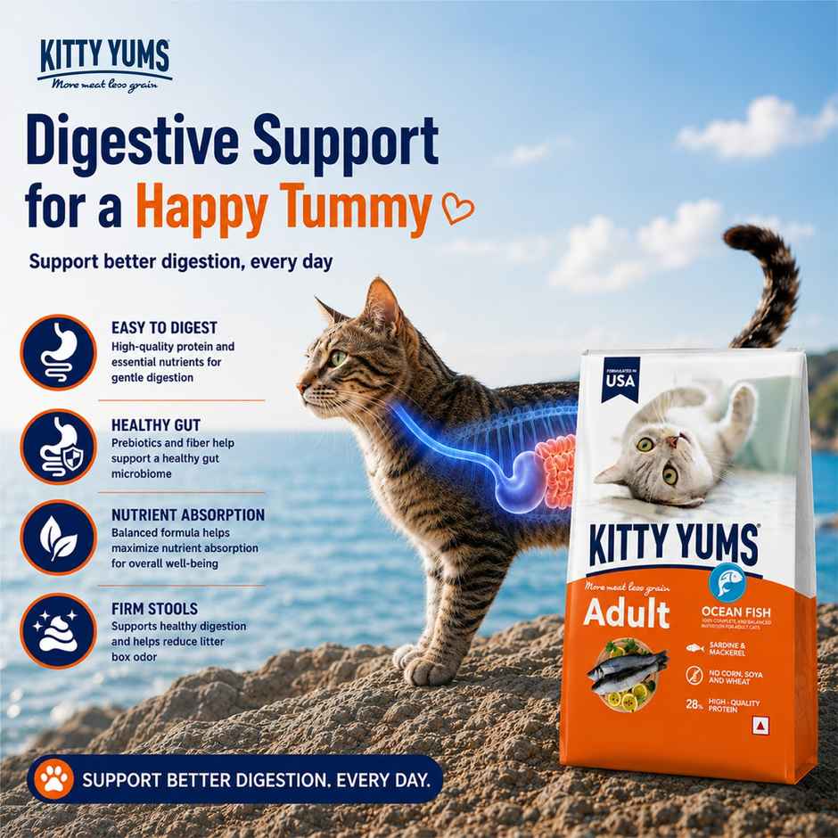 Kitty Yums Adult Cat Dry Food Ocean Fish