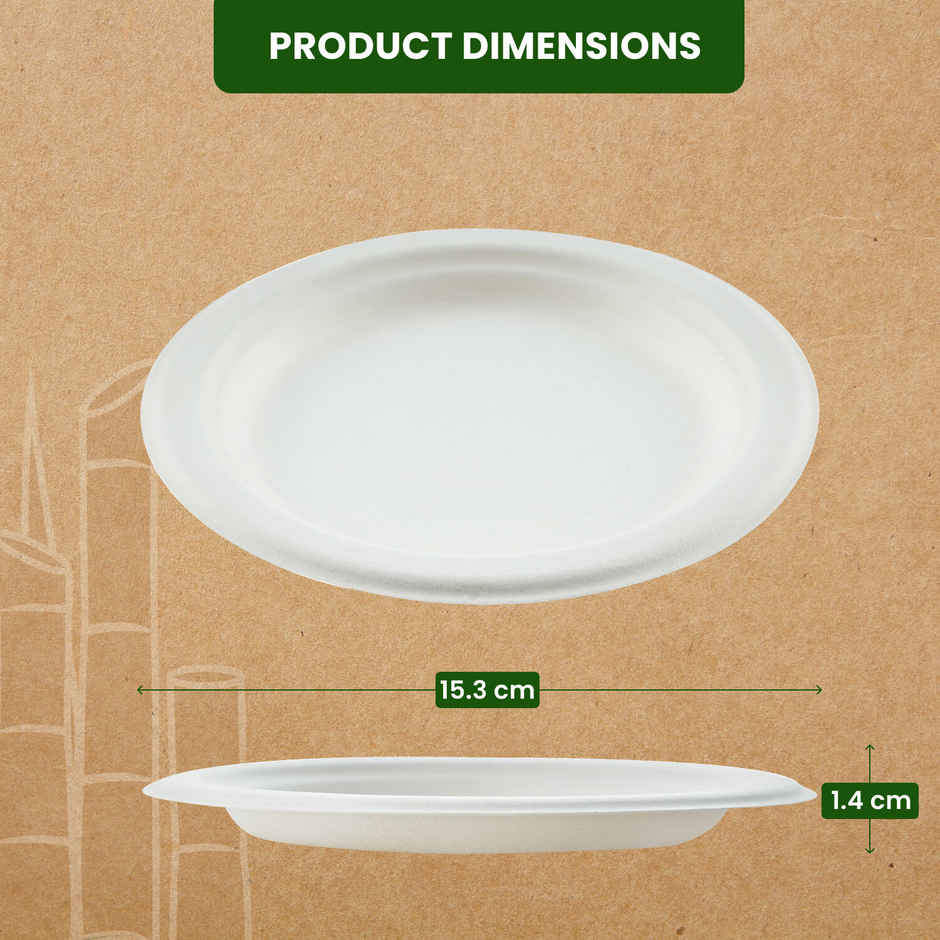 Round Disposable Flat Plate | 15 cm | BAY6