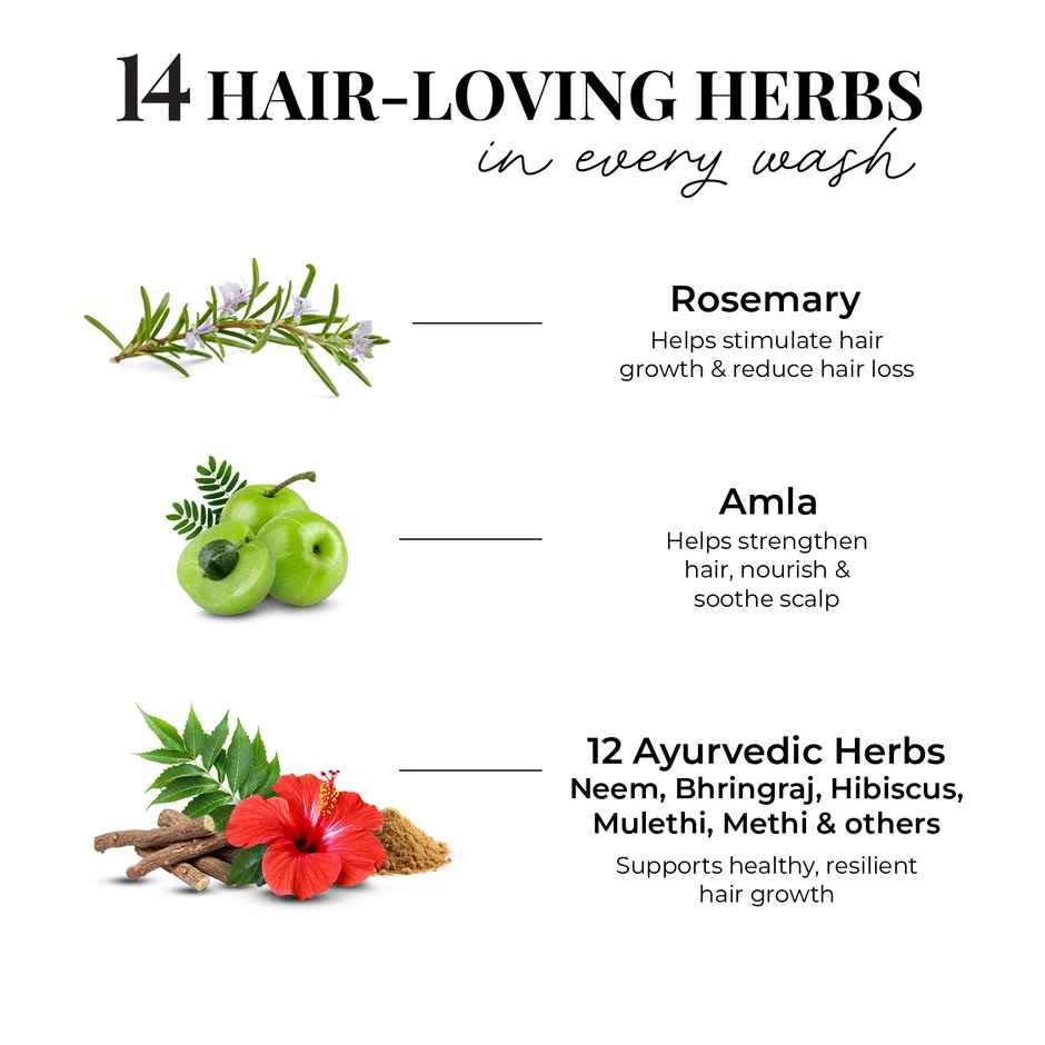 Just Herbs Anti Hairfall Shampoo with Rosemary & Amla  | 8X Hairfall Control