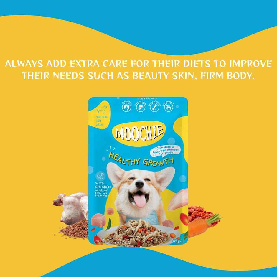 Moochie Dog Wet Food - Healthy Growth - Casserole With Chicken Gravy