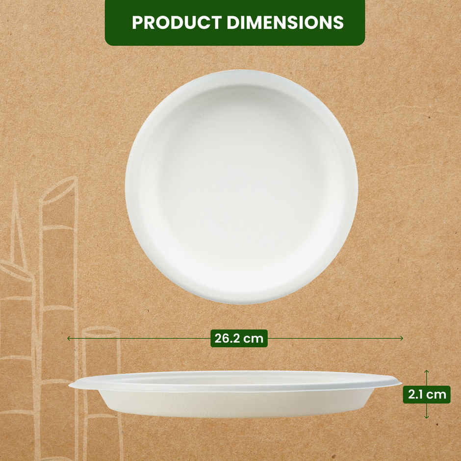 Round Disposable Plate | 10 inch | Pack of 10 | BAY6