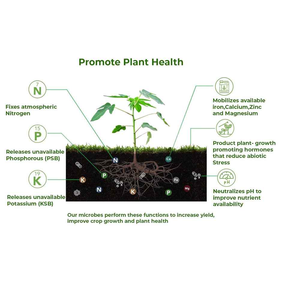 Gardens Coir Pure Red Soil For Plants | Home Gardening