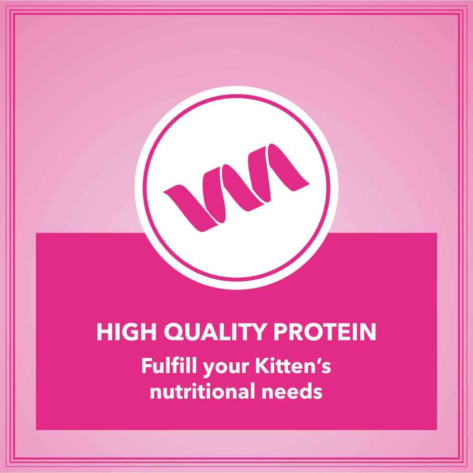 Let's Bite Active Kitten Ocean Fish Dry Cat Food (Buy 1 Get 1 Free)