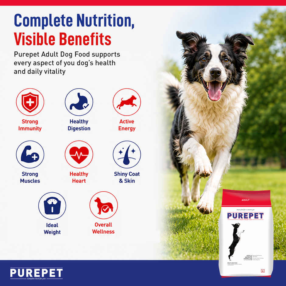 Purepet Meat And Rice Adult Dog FOOD