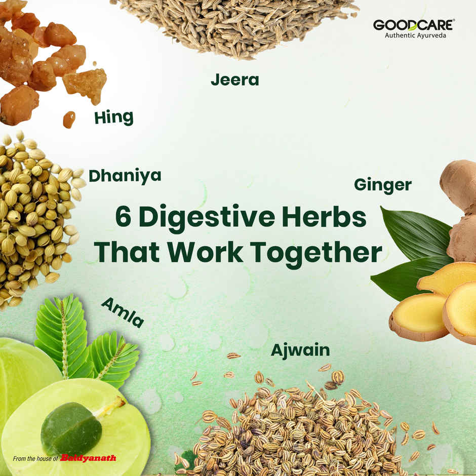 Goodcare Digest Guard Juice For Healthy Gut And Helps Relive Bloating With Power Of 6 Ayurveda Herb